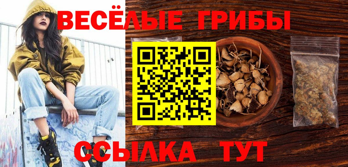 Псилоцибиновые грибы MAGIC MUSHROOMS Надым
